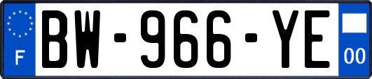 BW-966-YE