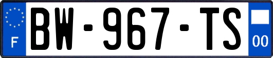 BW-967-TS
