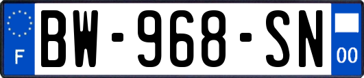 BW-968-SN