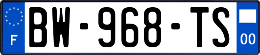 BW-968-TS