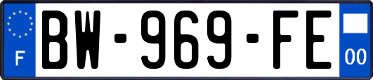 BW-969-FE