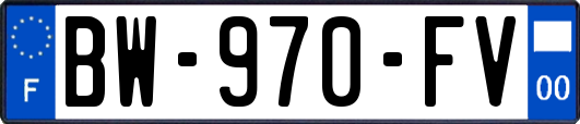 BW-970-FV