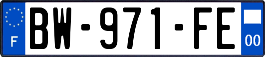 BW-971-FE