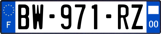 BW-971-RZ