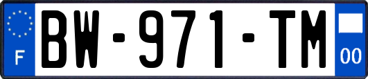 BW-971-TM