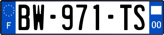 BW-971-TS