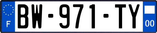 BW-971-TY