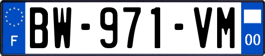 BW-971-VM