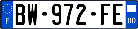 BW-972-FE