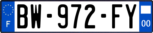 BW-972-FY