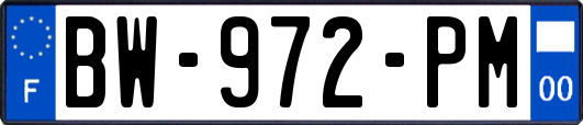 BW-972-PM