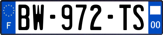 BW-972-TS