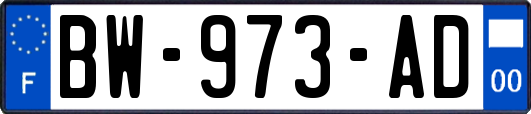 BW-973-AD