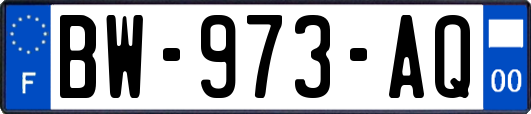 BW-973-AQ