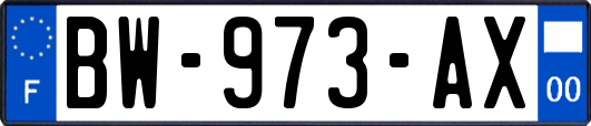 BW-973-AX