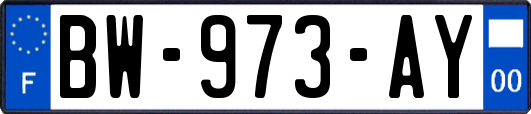 BW-973-AY