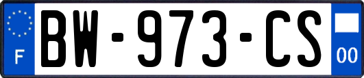 BW-973-CS