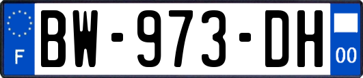 BW-973-DH