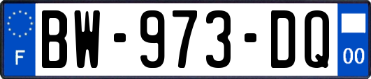 BW-973-DQ