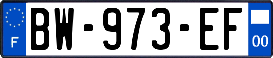 BW-973-EF