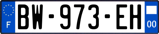 BW-973-EH