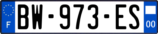 BW-973-ES