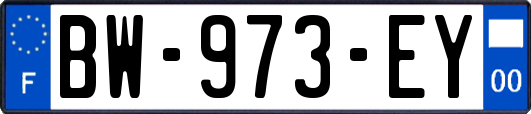 BW-973-EY