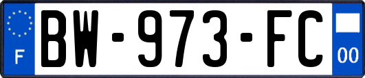 BW-973-FC