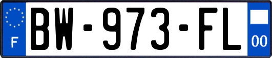 BW-973-FL