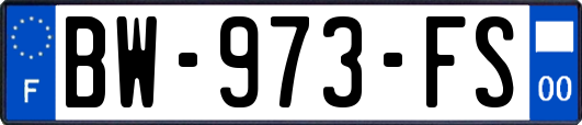 BW-973-FS