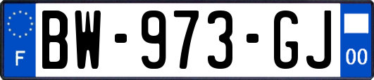 BW-973-GJ