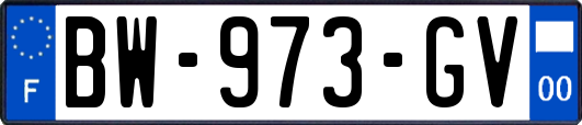 BW-973-GV