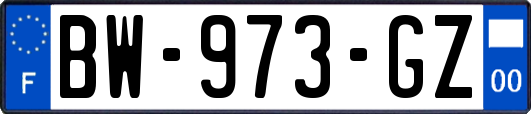 BW-973-GZ