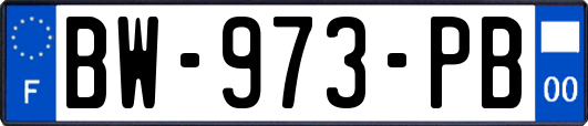 BW-973-PB