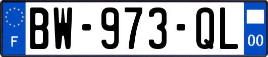 BW-973-QL