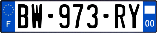 BW-973-RY