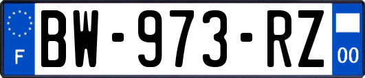 BW-973-RZ