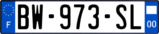 BW-973-SL