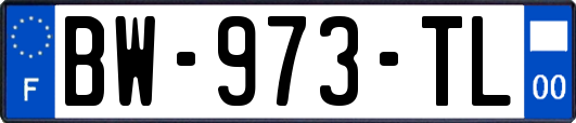 BW-973-TL