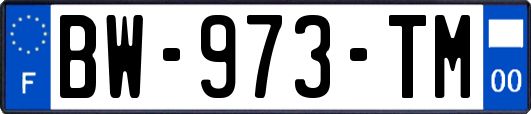 BW-973-TM