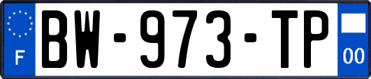 BW-973-TP