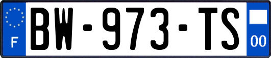 BW-973-TS
