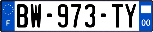BW-973-TY