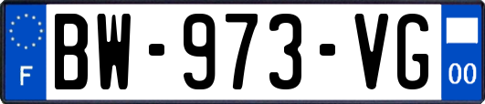 BW-973-VG