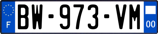 BW-973-VM
