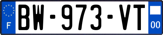 BW-973-VT