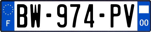 BW-974-PV
