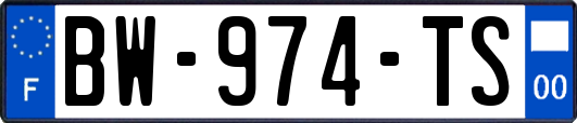 BW-974-TS