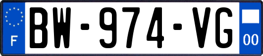 BW-974-VG