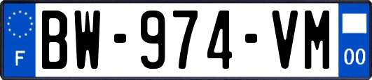 BW-974-VM